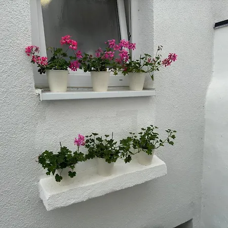 Ganzes Haus In Innenstadt Fuer 3 Kueche Terrasse * Wittlich