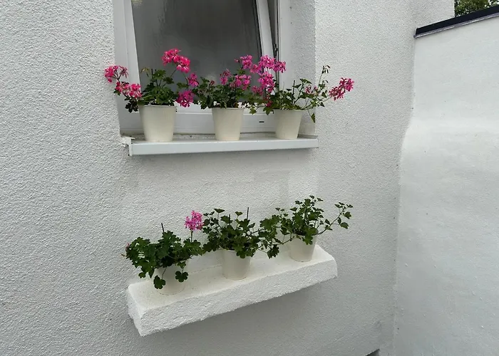 Ganzes Haus In Innenstadt Fuer 3 Kueche Terrasse * וויטליך